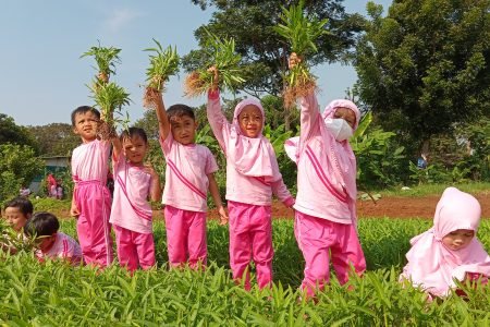 Serunya Edukasi Praktik Berkebun di TK Nur Hikmah